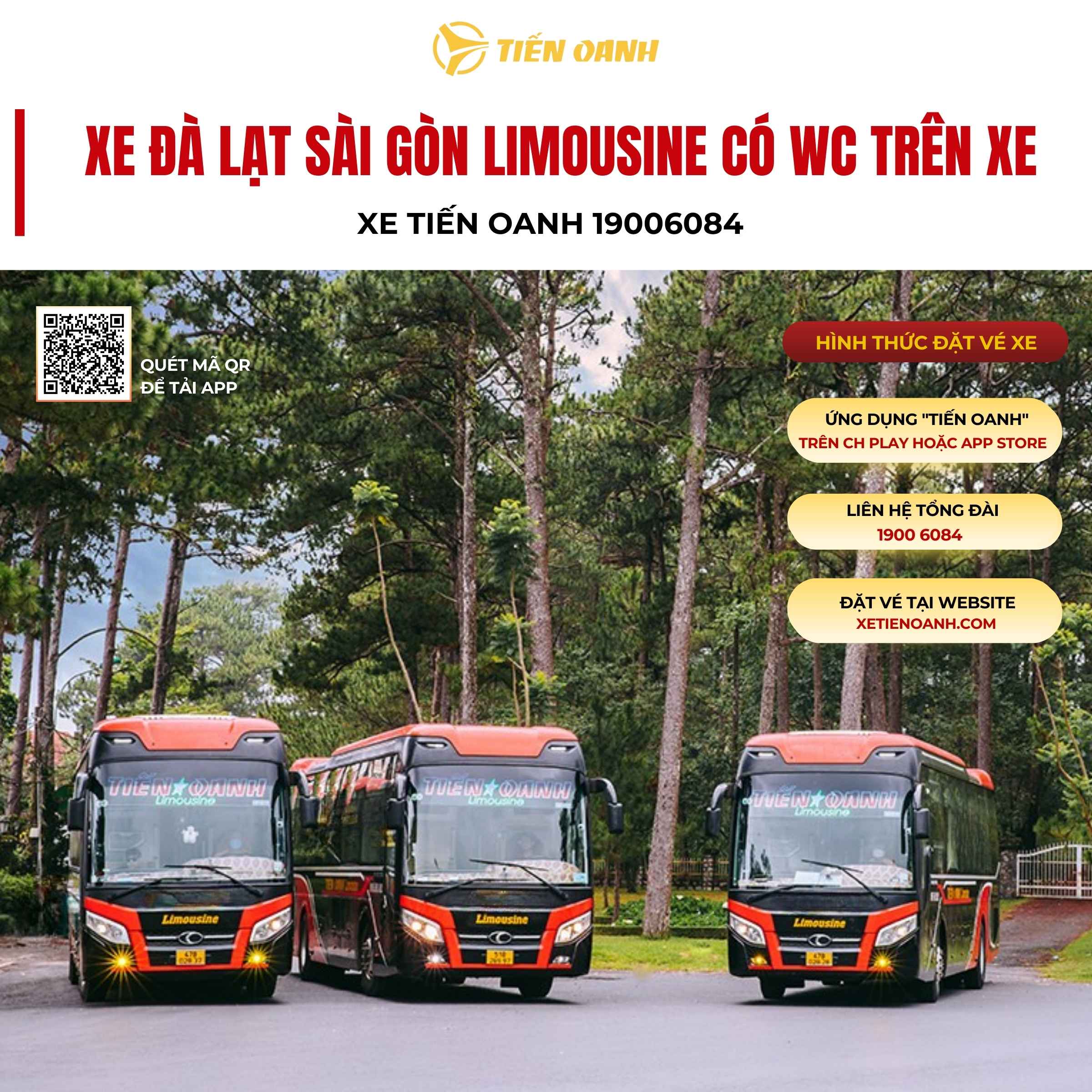 xe-da-lat-sai-gon-limousine-co-wc